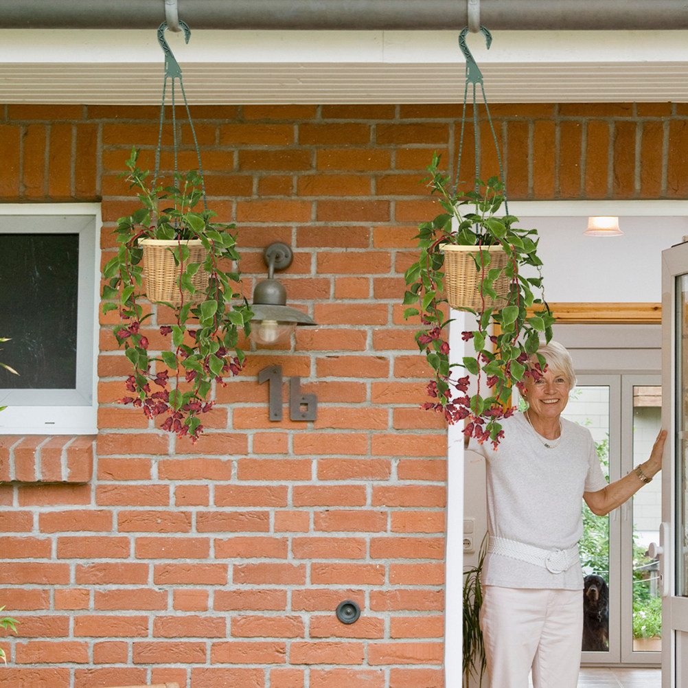 5Pcs Hanging Planter Hooks Ver - Spider Plant Hanging reseña y precio