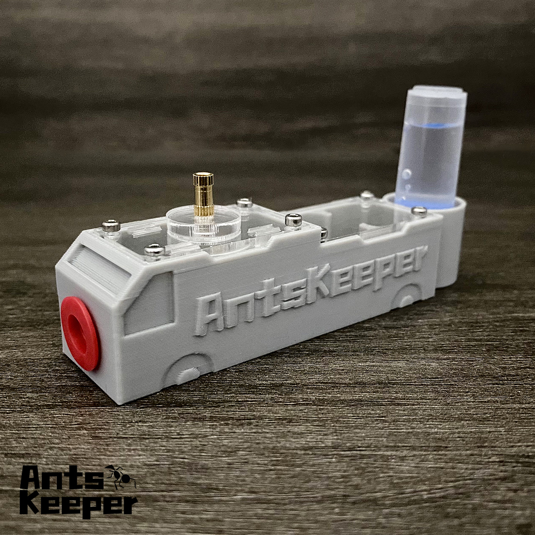 【Truck】Ant Farm for Ants keepe - Begonia Rex reseña y precio