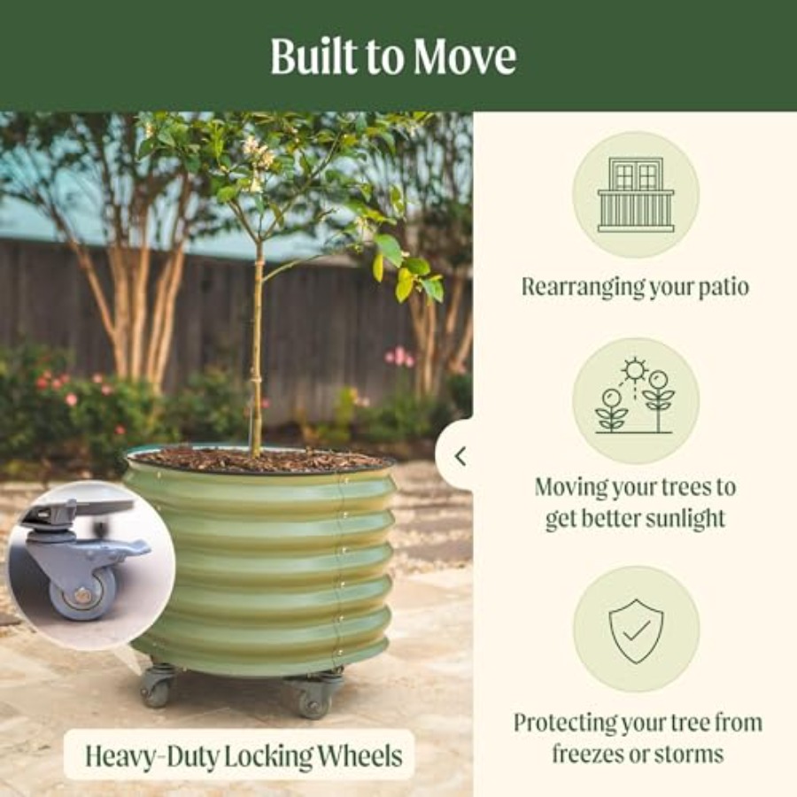 Self-Watering Rolling Metal Ci - Aloe Vera Pot reseña y precio