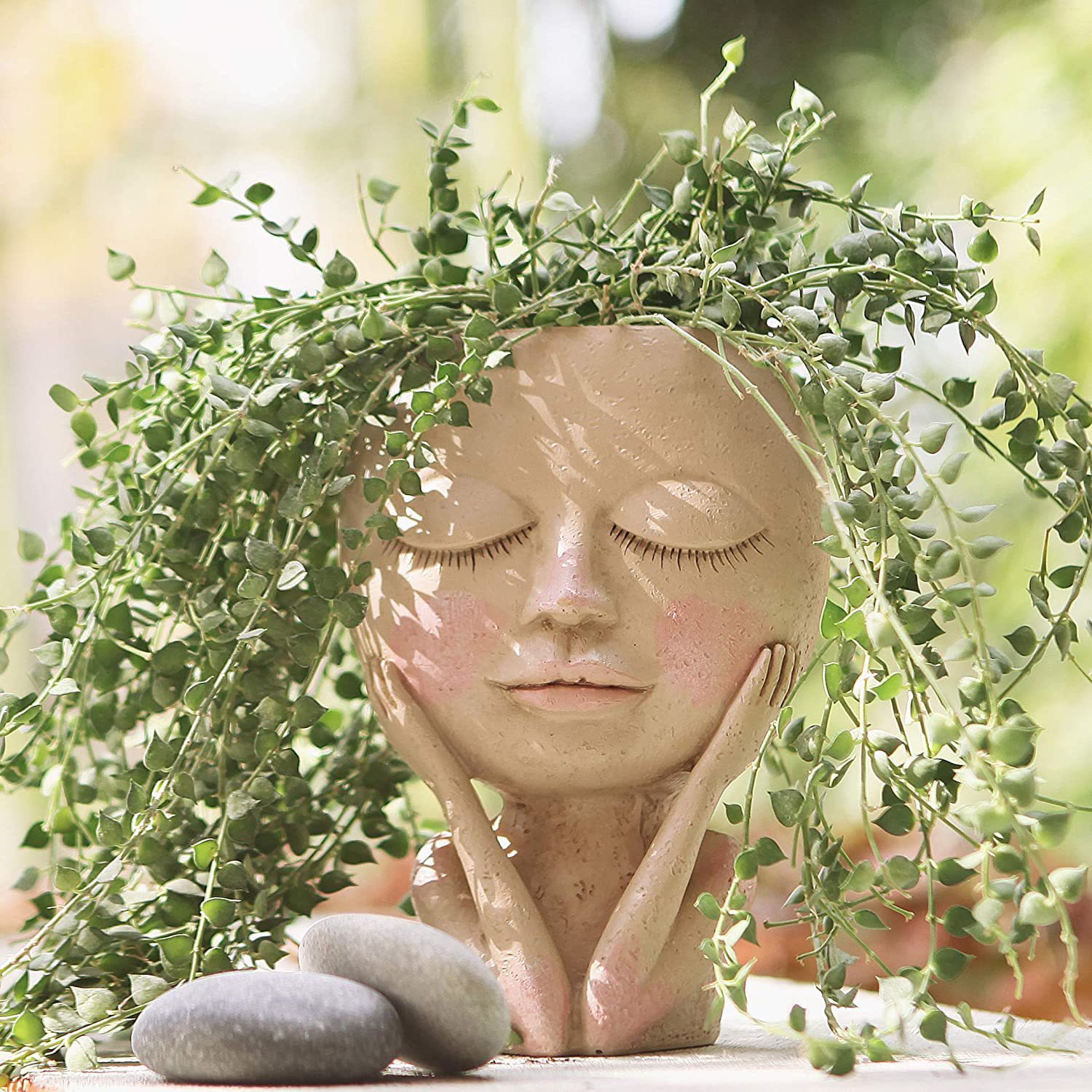 Girls Face Head Flower Planter - Echeveria Succulent reseña y precio