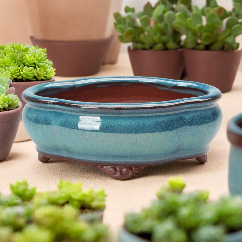 Ceramic Succulent Flower Pot C - Pilea Peperomioides reseña y precio